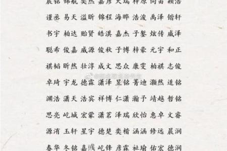如何选一个符合潮流趋势的洋气公司名