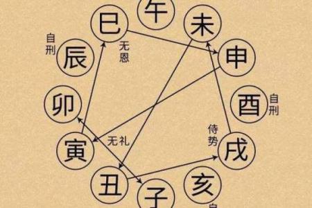花胎命的含义与命理解析：如何理解这一特殊命格