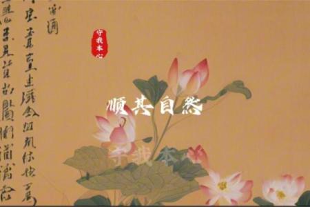 陈字命理解析：如何影响个人运势与性格特征