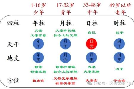 元八字排盘的深度解析与实用技巧