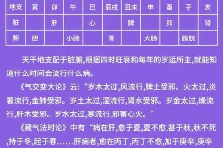 天干与脏腑关系浅析：中医五行理论的内在联系