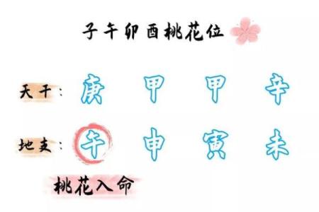 什么是双重桃花命及其影响解析