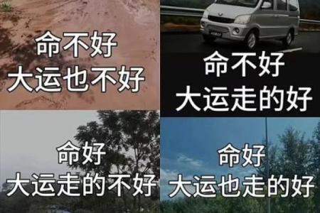 从命理看，哪些人注定有当官的潜力