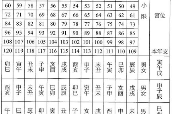 紫薇排盘入门指南：从零开始的详细解析