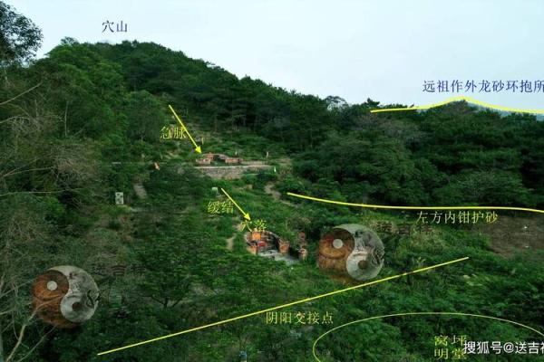 祖坟与手相的连接：解锁家族运势的秘密