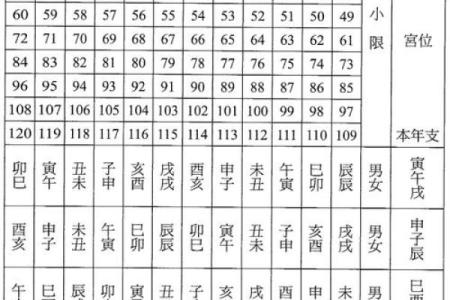 紫薇排盘入门指南：从零开始的详细解析