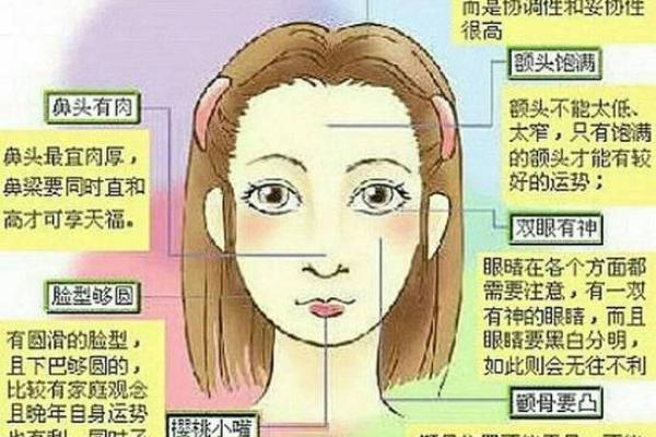 额头宽窄与命运走向：面相学中的重要线索