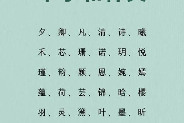 新生宝宝名字评分指南：如何为宝宝取个既美好又有意义的名字