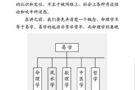 了解东西四命：命理学中的核心要素