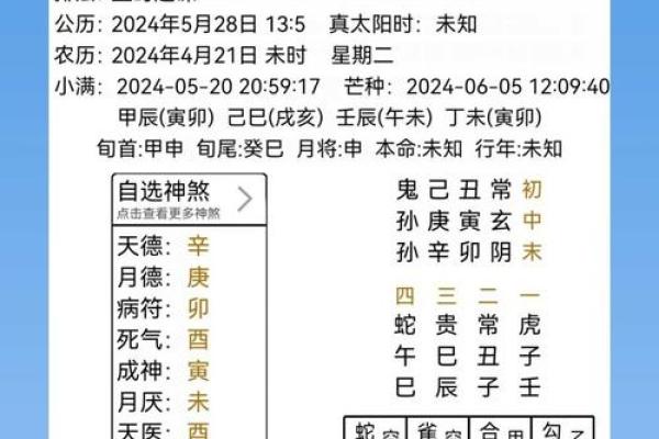 周易排盘软件的精准性与使用技巧