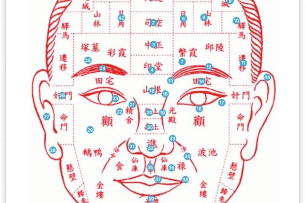面部痣相解析：不同位置的痣暗示的命运与性格特点