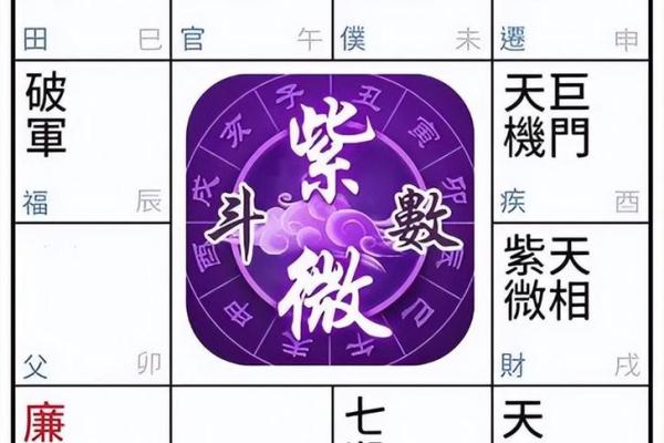紫微排盘图解详解：如何精准解读命盘布局