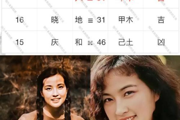 刘晓庆八字解析：命运背后的深层奥秘与人生轨迹
