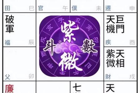 紫微排盘图解详解：如何精准解读命盘布局