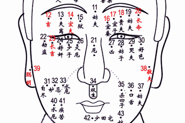 全面分析身体痣相图解，了解你的运势密码