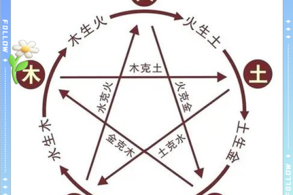 天干排列顺序及其背后的文化意义
