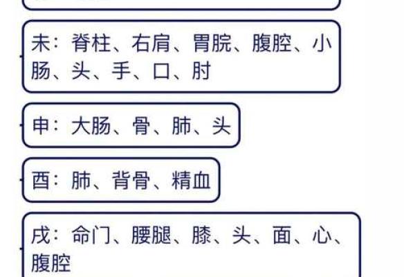 天干论的历史渊源与实际应用探析