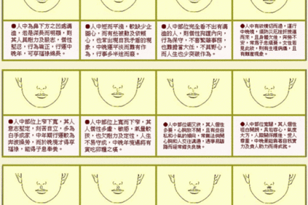 面相术入门指南：如何通过观察面部找到人生方向