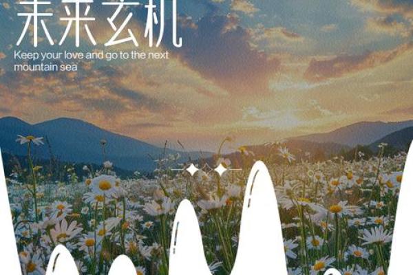 命理存真：揭示命运背后的真实力量与智慧