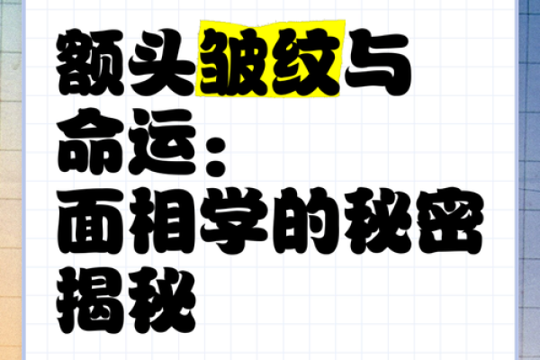 面相入门的秘密：揭开面部特征背后的深层含义