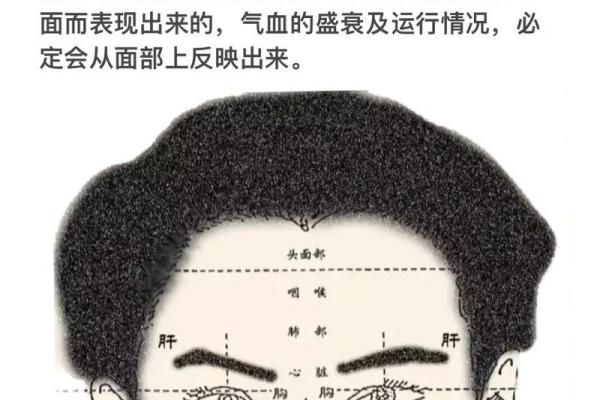 男人面相解析：从五官看性格与命运