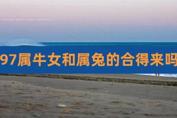 属兔女与属牛男的爱情兼容性探讨