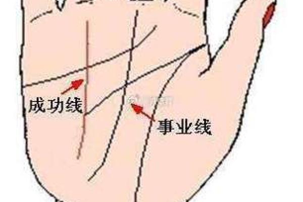 男孩手相图解大全：揭示性格与未来的线条密码