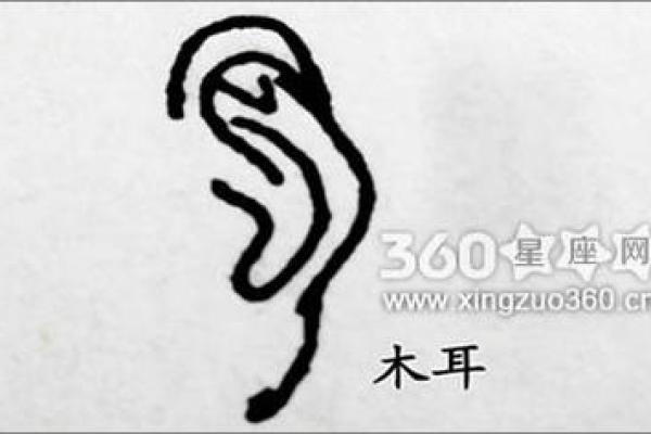 耳朵面相图解：解密耳形与命运的深层联系