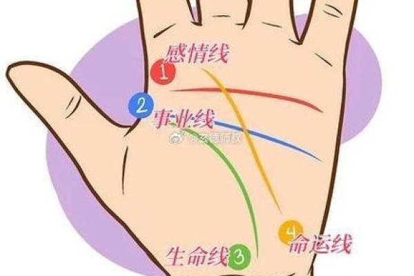 手相中揭示你另一半的特征与性格分析