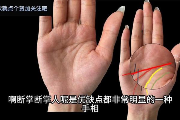 木星纹手相解析：揭示你天生的领导力与成功潜力