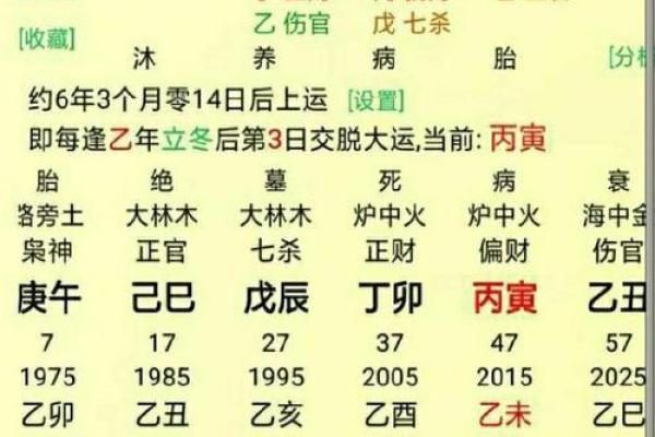 命理学：解读人生的密码