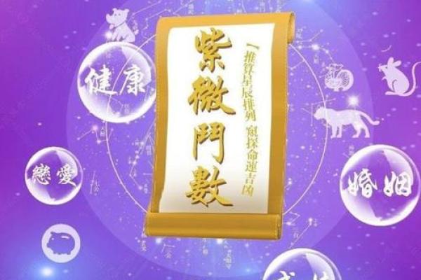 紫薇宫排盘解析：如何通过命宫看透人生轨迹