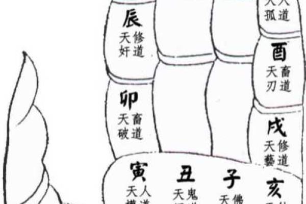 金口诀排盘手机版：智慧掌握个人命理密码
