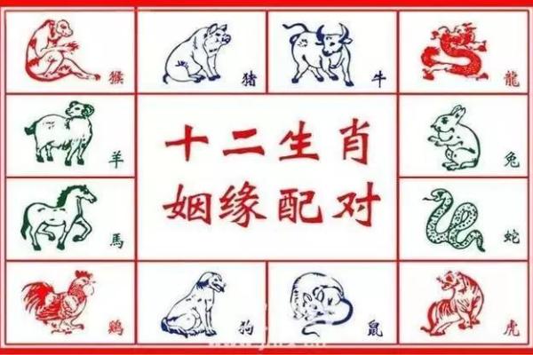 属兔女和属牛男的婚姻匹配度分析
