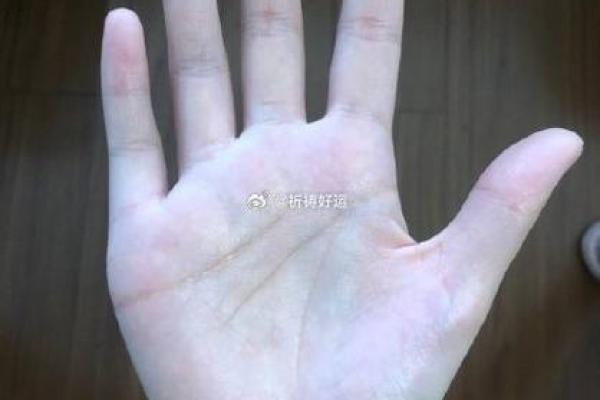 通过手相了解你的成功之路
