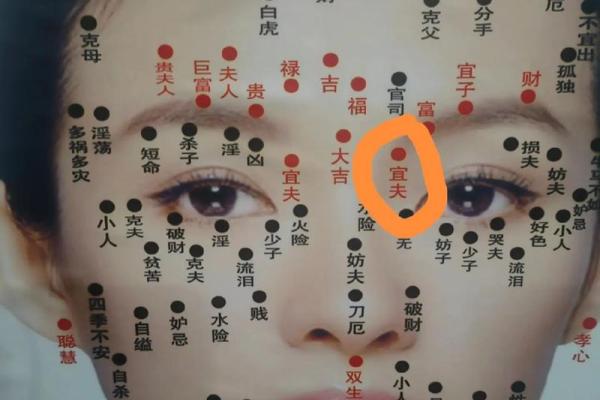 看脸部痣相，了解你的人生轨迹与健康运势