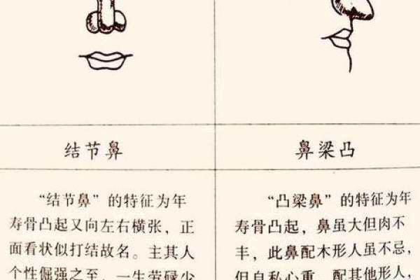 透过面相看人生：如何运用面相术改善命运