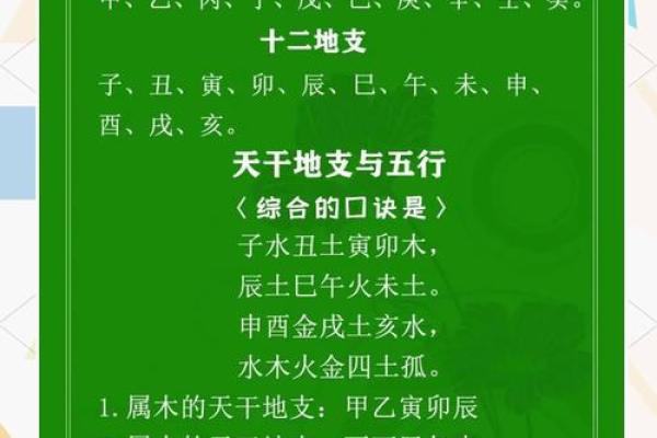 探索天干先生在现代命理中的实际应用