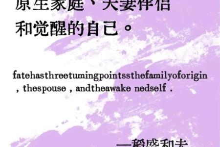 命理存真：揭示命运背后的真实力量与智慧