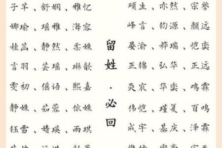 沙姓男宝宝命名技巧：如何选择合适的名字