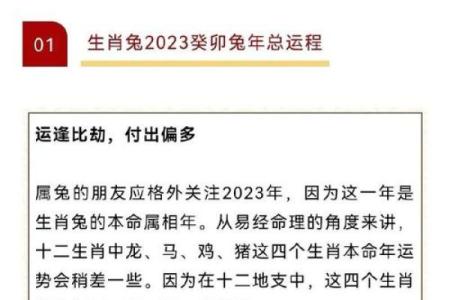 属兔女与属牛男的爱情兼容性探讨
