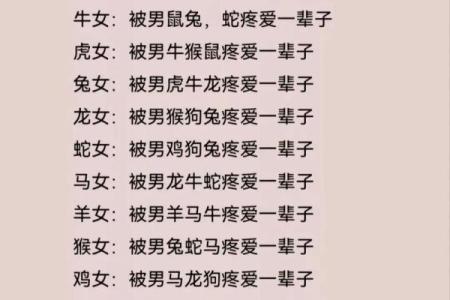 生肖配对：属兔与属鼠是否天生相配