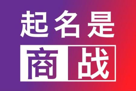 石家庄起名公司服务解读：让你的公司名字更具市场竞争力