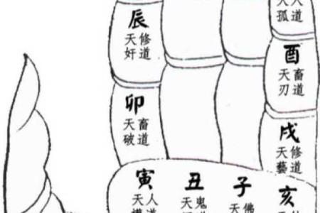 金口诀排盘手机版：智慧掌握个人命理密码