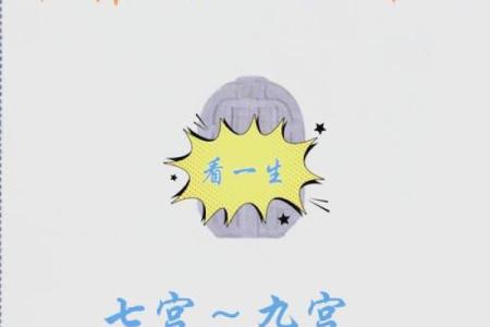 命理与运势：揭开命运的神秘面纱
