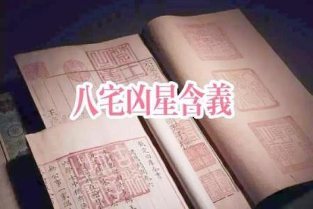 八宅排盘解读与实践技巧：揭开风水密码的秘密