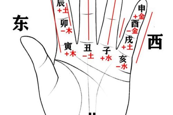 从丑年看命运：如何理解丑年的天干地支
