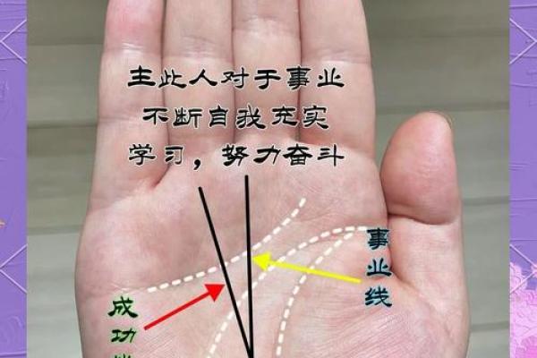 免费手相解析，发现隐藏在掌中的秘密
