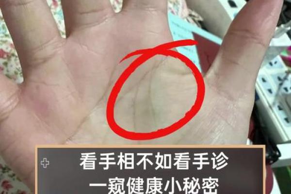 免费手相解析，发现隐藏在掌中的秘密