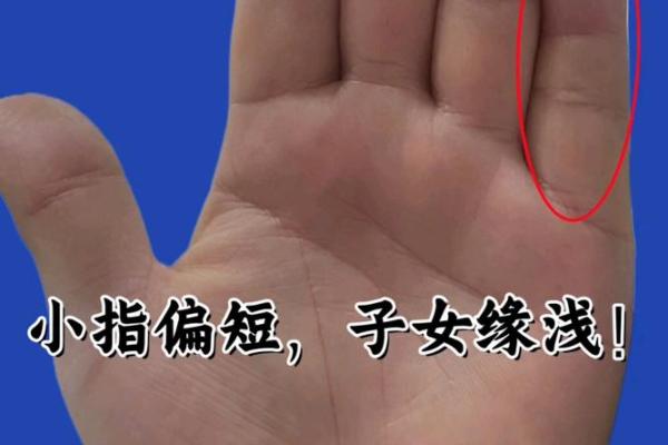 解读手相中的子女线：未来孩子的命运如何展开